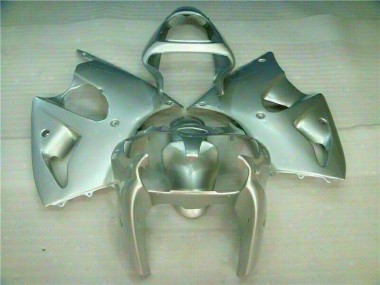 Carenagem Moto Kawasaki ZX6R 2000-2002 - Prata
