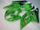 Moto Plástico Suzuki GSXR 1000 K5 2005-2006 - Verde