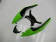 Carenagem Moto Kawasaki ZX6R 2009-2012 - Preto Verde Vermelho