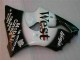 Carenagem Moto Kawasaki ZX6R 2003-2004 - Preto West Ninja Carenagem Moto Kawasaki ZX6R 2003-2004 - Preto West Ninja