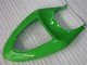 Kits Completo Carenagem Moto Kawasaki ZX6R 2005-2006 - Verde