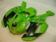Carenagem Moto Kawasaki ZX6R 2007-2008 - Verde Preto Dunlop Carenagem Moto Kawasaki ZX6R 2007-2008 - Verde Preto Dunlop