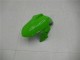 Carenagem Moto Kawasaki EX300 2013-2016 - Verde Preto Prata Carenagem Moto Kawasaki EX300 2013-2016 - Verde Preto Prata