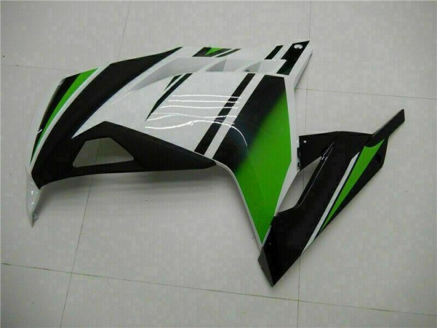 Carenagem Moto Kawasaki EX300 2013-2016 - Verde Preto Prata Carenagem Moto Kawasaki EX300 2013-2016 - Verde Preto Prata